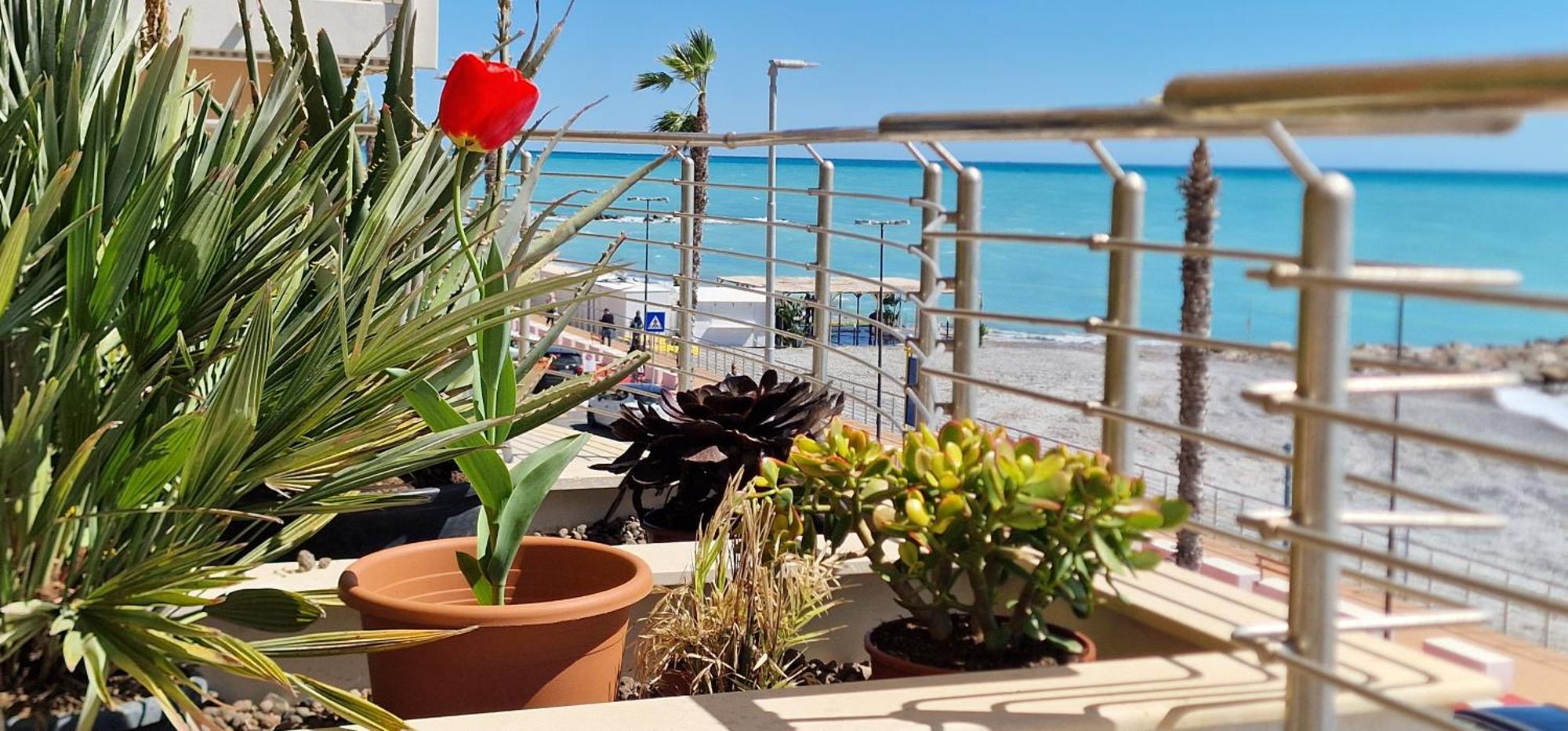 Mare Blu Apartment Ventimiglia Luaran gambar